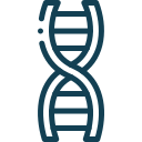 Adn 1