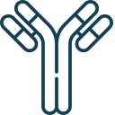 Antibody 1