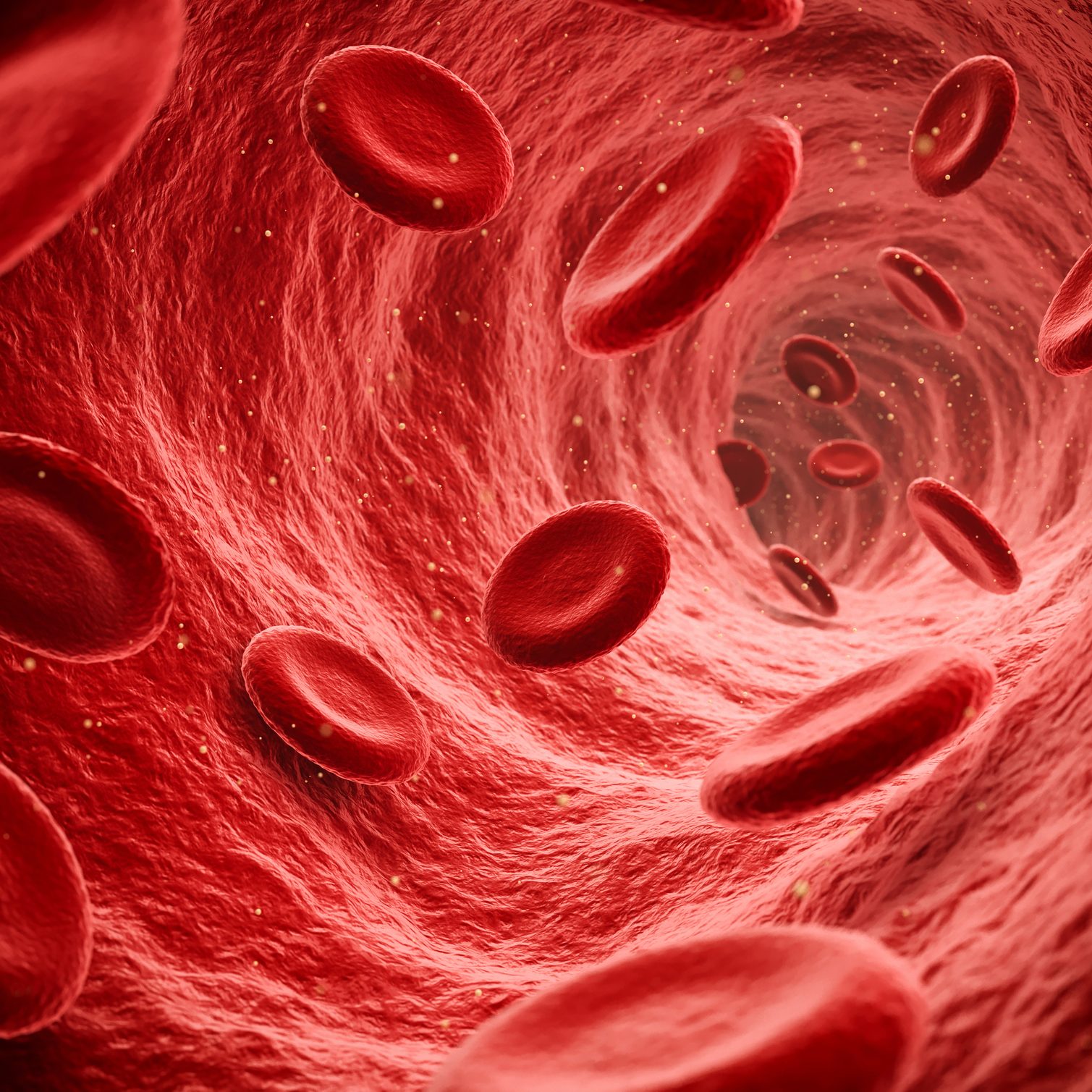 Red Blood Cells Flowing Through The Blood Stream