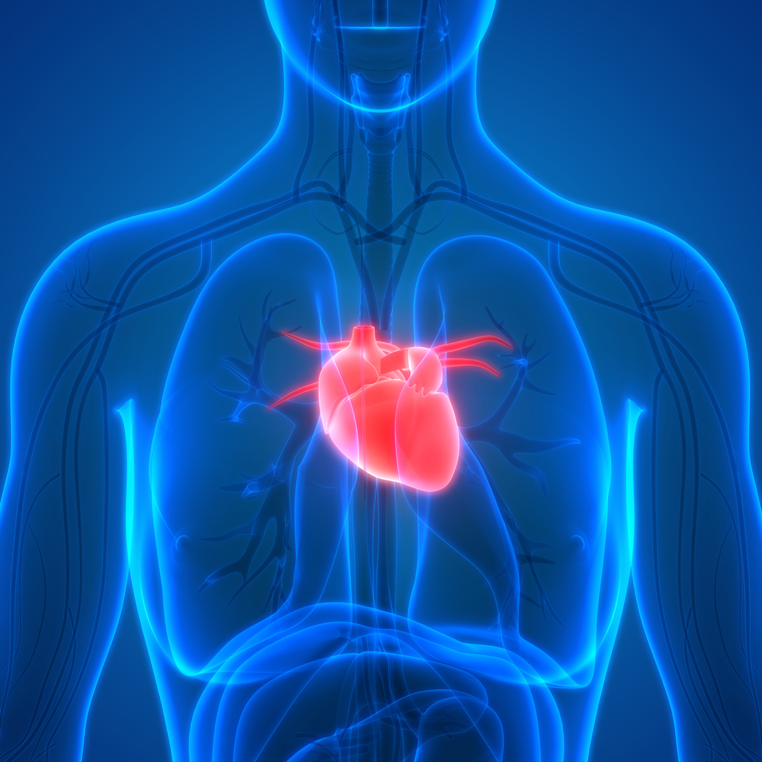Biotrial-preclinical-safety