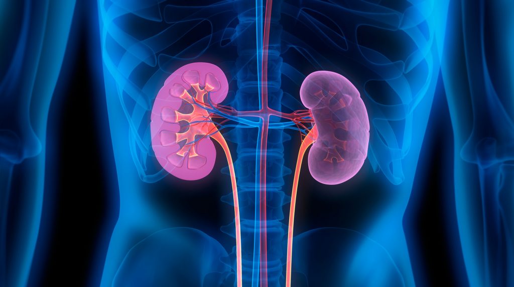 Biotrial Nonclinical Follow Up Respiratory