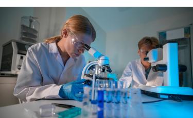 Image Header Pr Parean