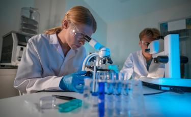 Image Partnership With Parean