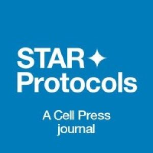 Logo Star Protocols