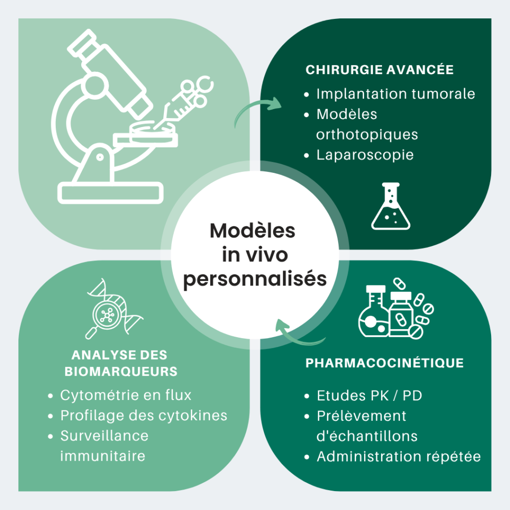 Modeles In Vivo Personnalisés Graphique